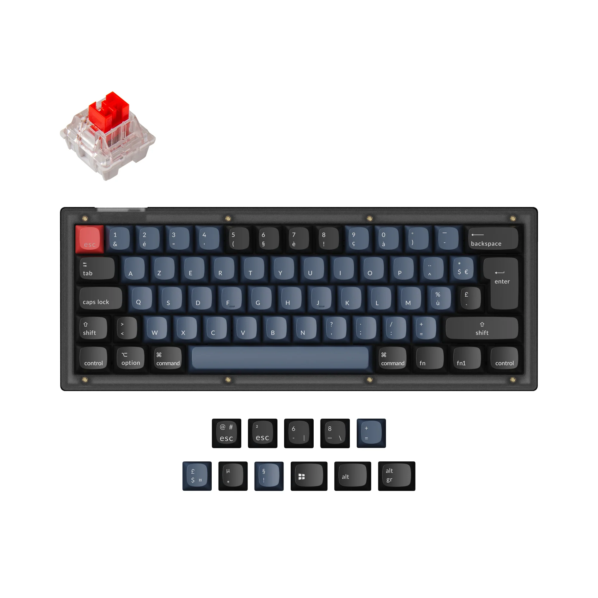 Thumbnail 5